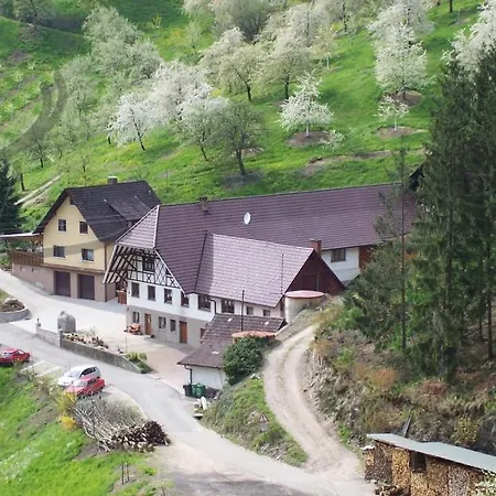 Schneckenhus アパート Lautenbach