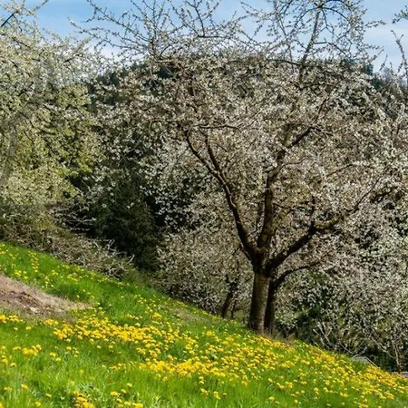 Schneckenhus アパート