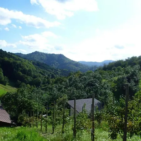 Schneckenhus アパート Lautenbach